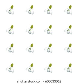 Seamless pattern with many snowdrops flowers same sizes. White background. Vector