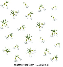 Seamless pattern with many snowdrops flowers with green stems and leaves same sizes. White background. Vector
