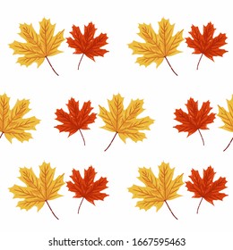 Seamless pattern of maple leaf. autumn pattern for background