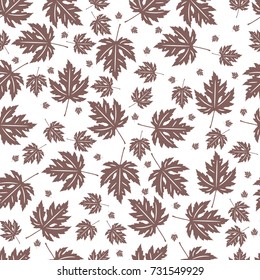 Seamless  pattern of maple leaves. Brown color. Season - autumn. White background
