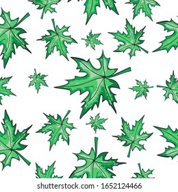 Seamless pattern with maple leaves on an isolated background. Windy colored leaves.