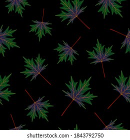 Seamless pattern with maple leaves. Repeat botanical pattern. Vector illustration.
