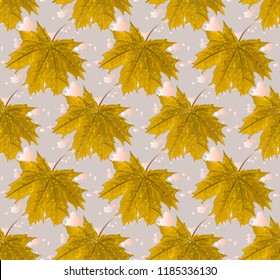 Seamless pattern with maple leaves in watercolors