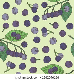 Seamless pattern with maqui berry: berries and leaves. Aristotelia chiles. Superfood. Vector hand drawn illustration
