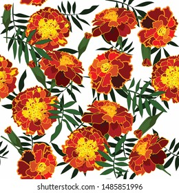 Seamless pattern of marigold. Beautiful floral  pattern for textile. Vector illustration of marigolds.