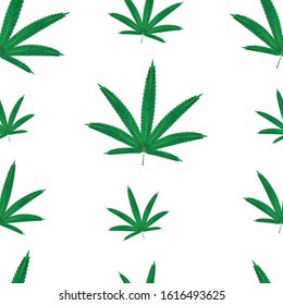 Seamless pattern of marijuana leaves. Cannabis leaves isolated on white.