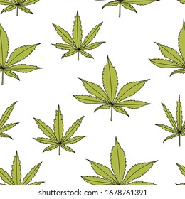 Patrón transparente con hojas de marihuana. Hojas de cannabis dibujadas a mano en un fondo blanco.