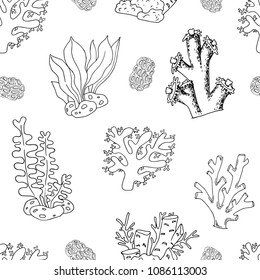 seamless pattern with marine animals, seaweed, coral, sponge, black and white sketches, hand drawing, vector illustration