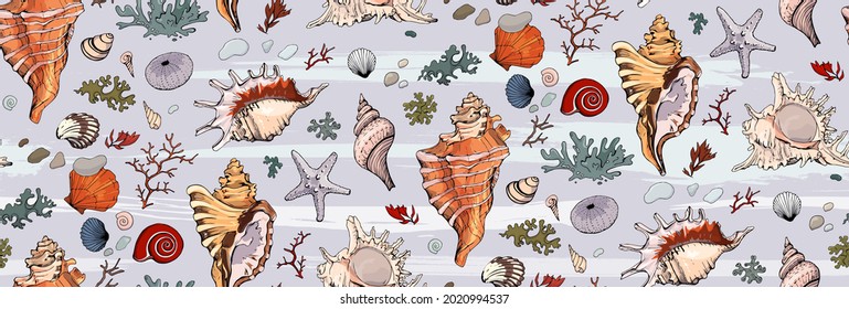 Seamless pattern with marine  elements, hand drawn seashells for your design. Endless texture, sketch shells, echinus, starfish, seaweed, coral, clam isolated on striped background.Vector illustration