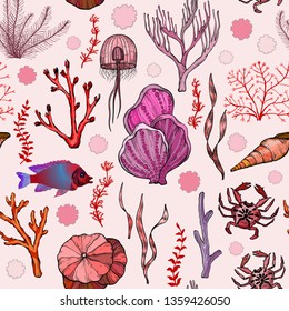 Seamless pattern with marine hand drawn corals and living organisms, vector illustration