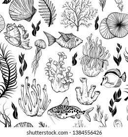 Seamless pattern with marine hand drawn corals, Black and white, vector illustration