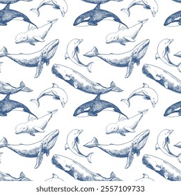 Seamless pattern with marine mammals. Hand drawn vector sketch in engraving technique. Sperm whale, humpback whale, dolphin, beluga whale, killer whale. Monochrome ink drawing.