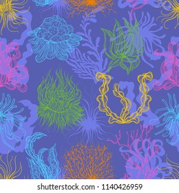 Seamless pattern with marine plants, corals and seaweed. Vector illustration