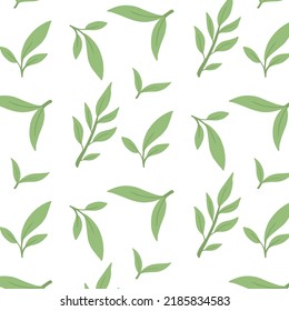Seamless pattern with matcha. Vector illustration.Pattern with green tea. स्टॉक वेक्टर