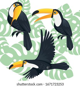 Seamless pattern of mature brazilian toucan bird cartoon animal design flat vector illustration on white background with green leaves