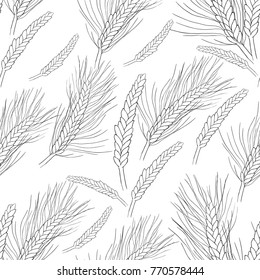 seamless pattern  mature of wheat coloring vector illustration