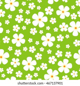Seamless pattern with meadow Alpic flowers. White flowers isolated on green background. For posters, covers, wrapping papers, wallpapers design. Modern graphic in flat style. Vector illustration