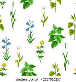 Seamless pattern with meadow flowers. Herbs and cereal grass. Beautiful decorative spring plants.
