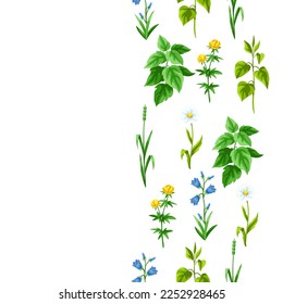 Seamless pattern with meadow flowers. Herbs and cereal grass. Beautiful decorative spring plants.