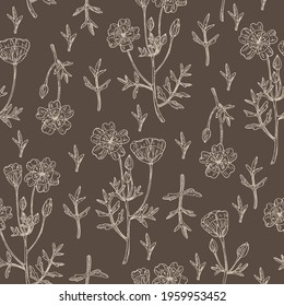 Seamless pattern with meadow foam: plant, flowers and leaves. Limnanthes alba. Cosmetic and medical plant. Vector hand drawn illustration