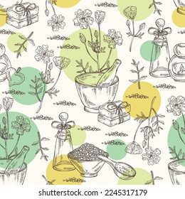 Patrón sin soldadura con espuma de pradera: planta, flores y hojas. Limnanthes alba. Aceite, jabón y sal de baño. Cosméticos y plantas médicas. Ilustración dibujada a mano por el vector