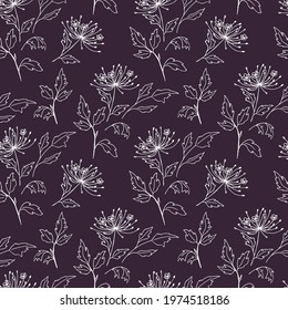 seamless pattern of meadow grasses and flowers hand-drawn ink. Monochrome botanical background white outline on black for fabric, paper, cover
