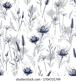 Seamless pattern with meadow wild herbs and blue thistle flowers. Hand drawn vector illustration isolated on white background.