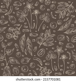 Seamless pattern with medical plants: amur cork berries, coptis chinese flowers, ziziphus Juyuba fruits, highlander multiflorous roots. Vector hand drawn illustration