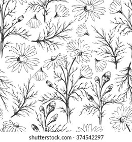 Seamless pattern with medical plants. Chamomile. Hand drawn. Vector illustration