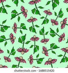 seamless pattern medical plants echinacea flower nature vector background print illustration colored poster textile wrapper wallpaper