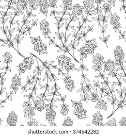 Seamless pattern with medical plants. Hand drawn. Vector illustration