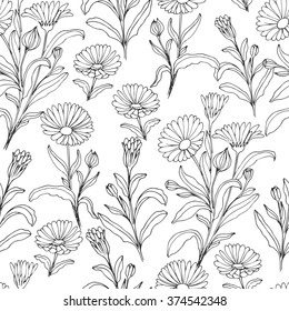 Seamless pattern with medical plants. Hand drawn. Vector illustration