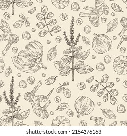 Seamless pattern with medical plants: moringa, tulasi, holy basil plant ,garcinia cambogia, large galangal root. Vector hand drawn illustration