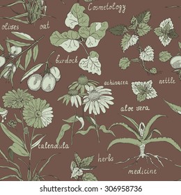 Seamless pattern with medicinal herbs, which are also used in cosmetics