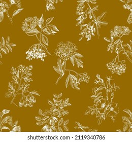 Seamless pattern with medicinal shrubs