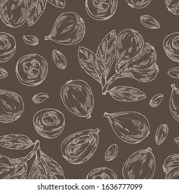 Seamless pattern with medlar japanese: medlar fruit and leaves. Eriobotrya japonica. Vector hand drawn illustration.