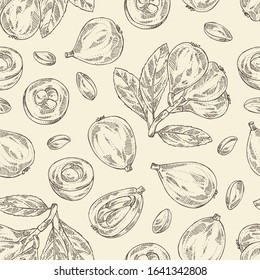 Seamless pattern with medlar japanese: medlar fruit and leaves. Eriobotrya japonica. Vector hand drawn illustration.