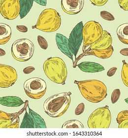 Seamless pattern with medlar japanese: medlar fruit and leaves. Eriobotrya japonica. Vector hand drawn illustration.