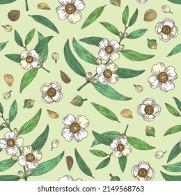 Seamless pattern with mesua ferrea: mesua ferrea plant, leaves, mesua ferrea flowers. Cosmetic, perfumery and medical plant. Vector hand drawn illustration.