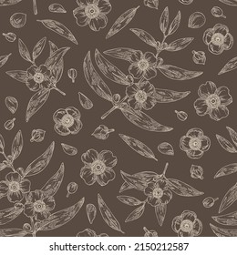 Nahtloses Muster mit Mesuferrea: Mesua ferrea Pflanze, Blätter, Mesua ferrea Blumen. Kosmetik, Parfüm und medizinische Anlagen. Vektorgrafik, handgezeichnet.