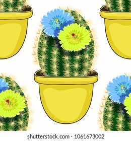 seamless pattern  Mexican cactus flowering in a pot  vector illustration