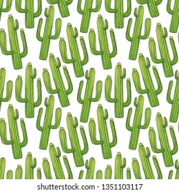 Seamless pattern with mexican cactus with spines or thorns and flowers as banner for cinco de mayo holiday or celebration. Edible or eatable, esculent cacti saguaro, indian fig or mammillaria cactus.