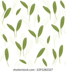 Seamless pattern microgreen superfood sprouts spinach healthy nutrition vector illustration on white background