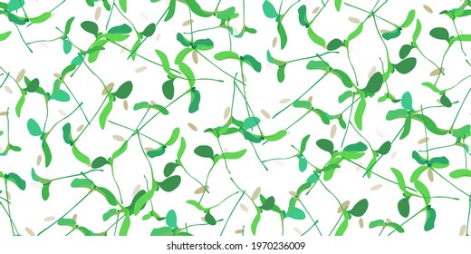 Seamless pattern microgreen. Young leaves seedlings, seeds isolated on white. Raw sprouts, microgreens, healthy eating concept. Foliage nature plant for design, advertising, packaging products. Vector