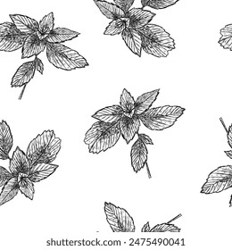 Seamless pattern with mint leaves in hand drawn sketch style