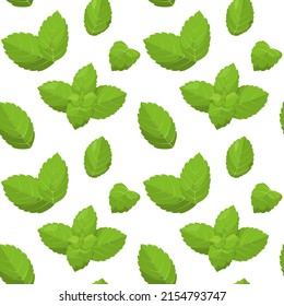 Seamless pattern with mint leaves. Herbs.
