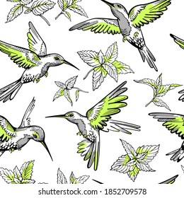 Patrón sin foco con hojas de menta y colibríes. Impresión textil de verano
