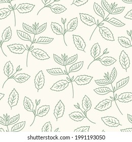 Seamless pattern with mint on beige background. Perfect for menu, fabric, wallpaper, culinary books. Contour vector illustration