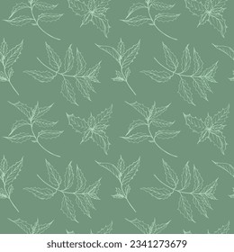 Seamless pattern with Mint plant hand drawn vector illustration. Repeating background with spearmint, flavor plant, nature motif. Decorative ornament with peppermint tea , boho style design element