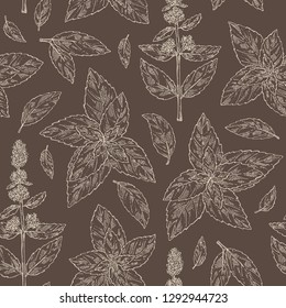 Seamless pattern with mint: plant and leaves of peppermint. Vector hand drawn illustration